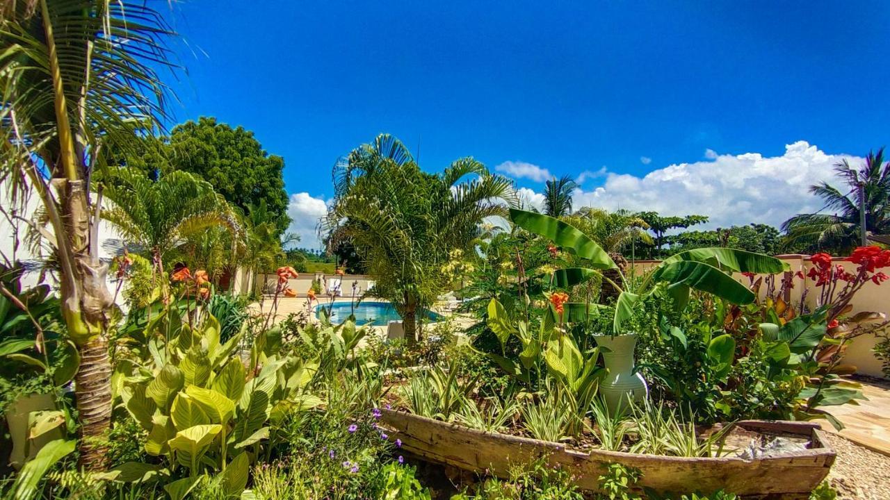 Golden Palm Boutique Zanzibar 호텔 외부 사진